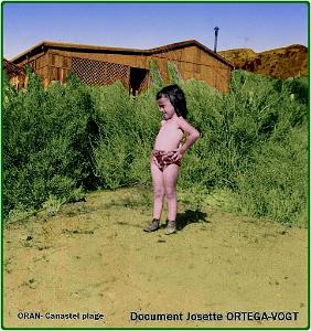 Oran- SDV- 0380- Josette Ortega- Vogt